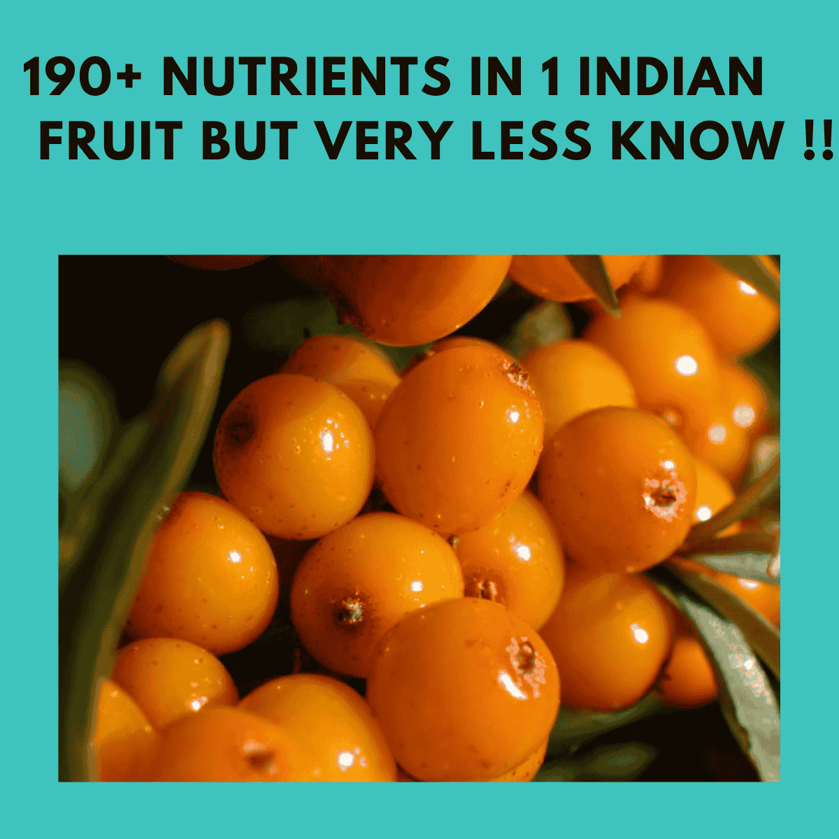 190+ Nutrients in 1 Indian Fruit But Very Less Know !!